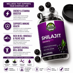 Mens Health Bundle